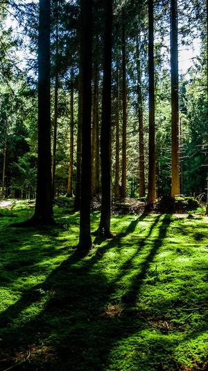 泛目录程序官网截图3