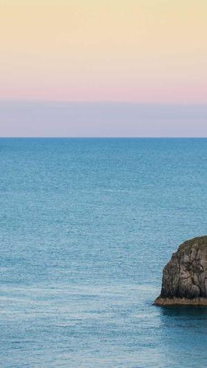 seo排名工具广告截图3