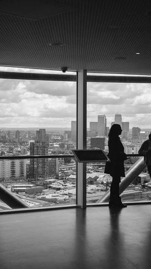 站长工具seo查询截图3