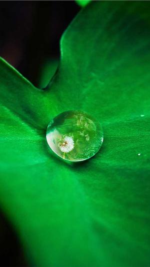 深圳seo推广工具截图2