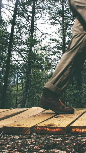 泛目录站群原理 培训截图2