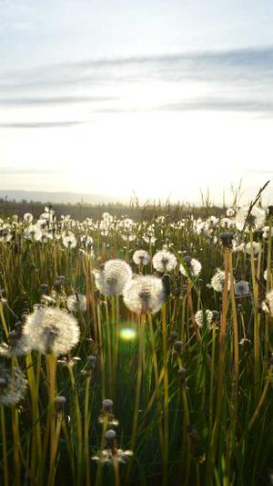 长沙的网站建设截图1