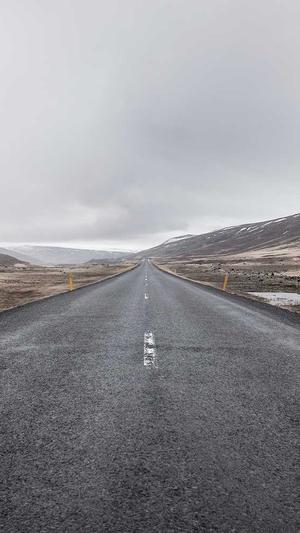 免费蜘蛛池seo截图3