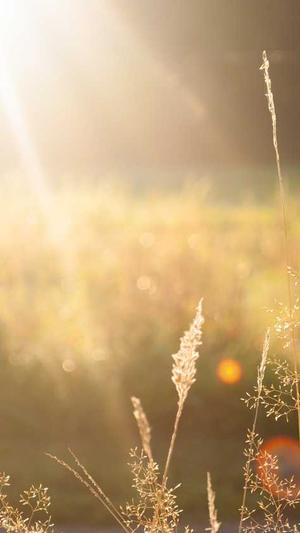 泛目录如何做截图3