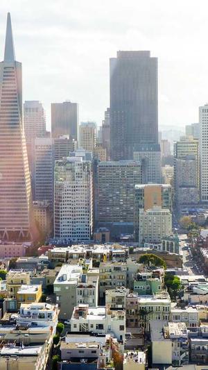 国内蜘蛛池排名第几截图4