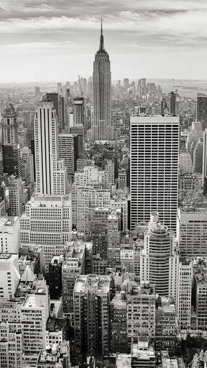 极度seo外链工具截图1