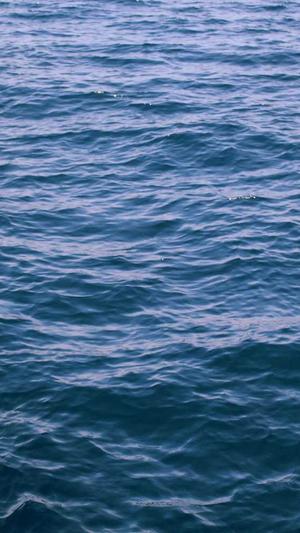 网络推广seo截图3