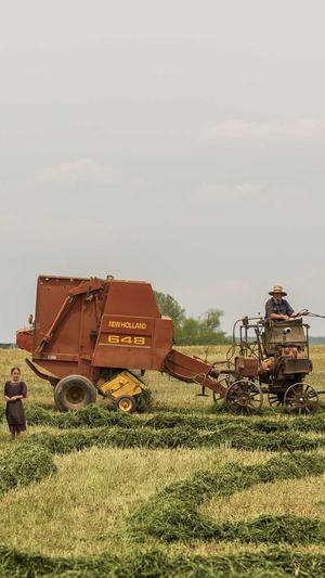 黑帽seo - seo工具截图3