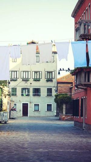 站群和蜘蛛池原理截图2