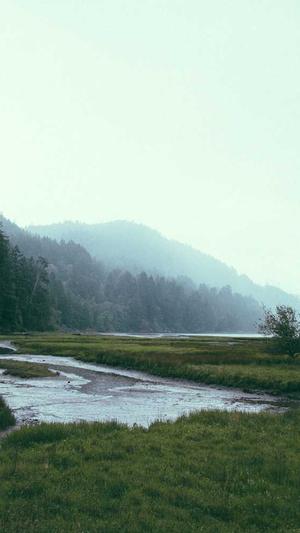 新余网站建设截图4