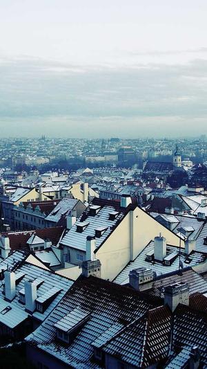 成都seo工具截图4