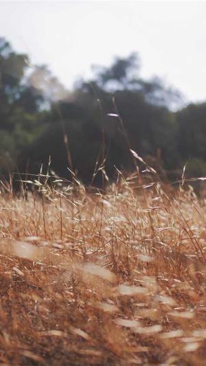 asp.net网站建设截图3