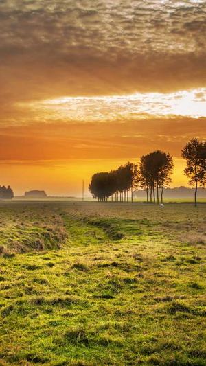 泛目录程序seo截图2