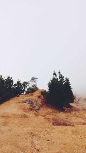 东莞网站建设网站截图1