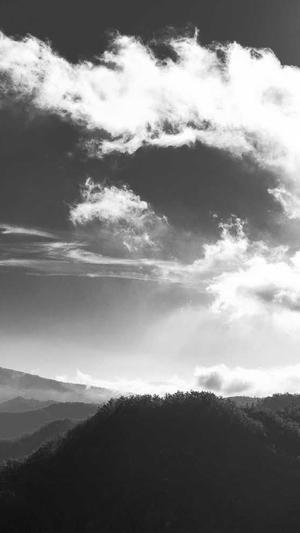 seo优化 工具截图3