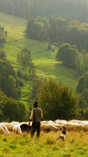 头条蜘蛛池选哪家截图3