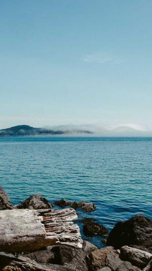 147seo工具下载截图1