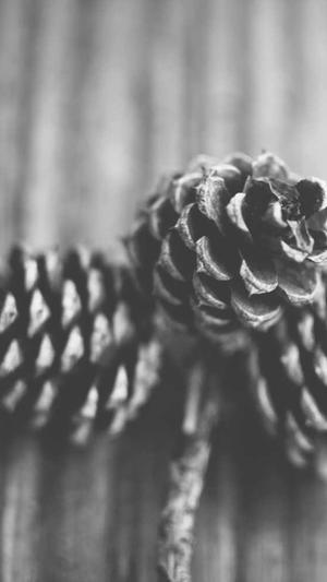 seo优化作用截图1