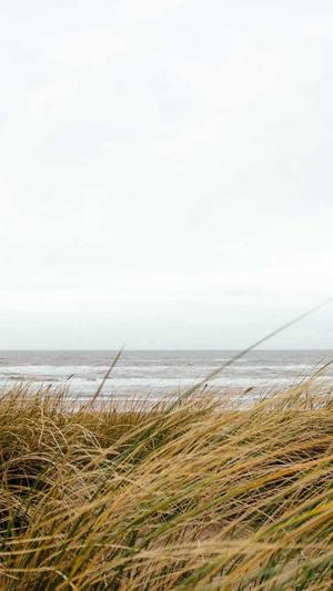 泛目录关键词截图2