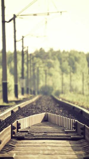 深圳网站建设截图1