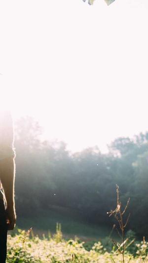 站长工具SEO综合查询截图2