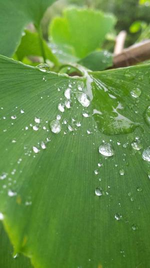 网站seo信息批量查询工具截图2