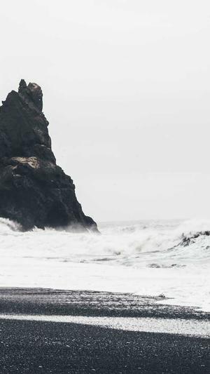 黑帽子蜘蛛池截图3