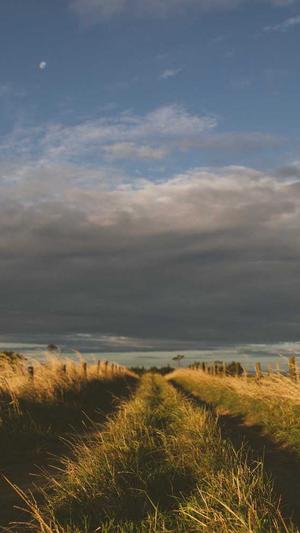 搜狗蜘蛛池和百度蜘蛛池截图4