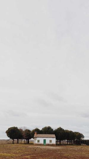 seo有哪些优化工具截图5