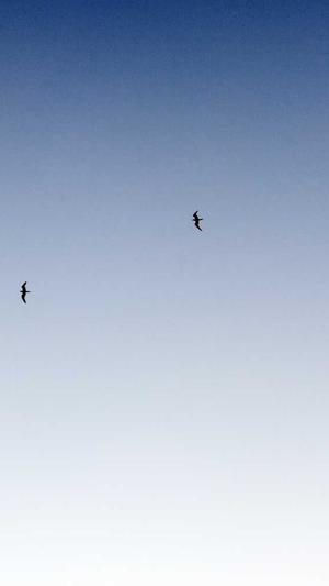 深圳seo推广工具截图1