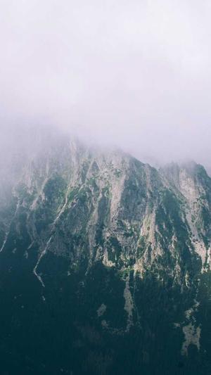 SEO 站长工具截图4