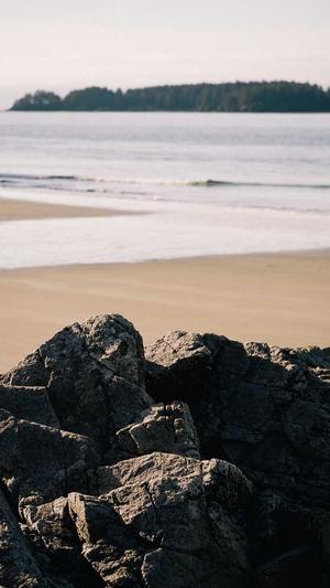 2022年蜘蛛池还有用吗截图3