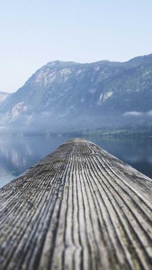 小旋风蜘蛛池x9破解版截图1