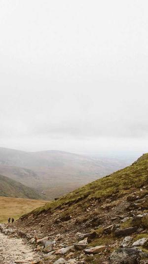 蜘蛛池下载截图2