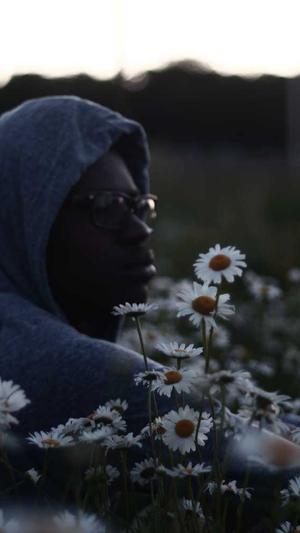 展示型网站建设截图2