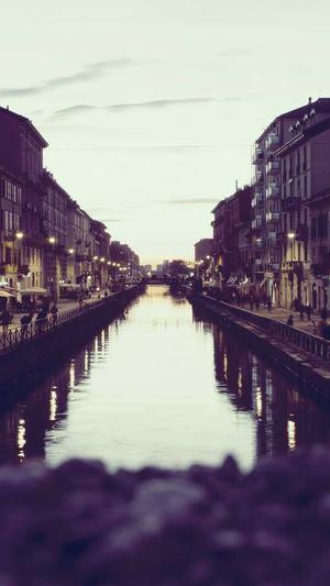 百度蜘蛛池制作截图3