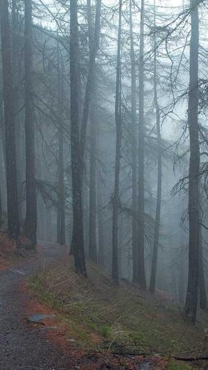 seo分词工具截图1