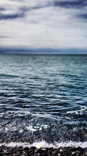 淄博seo优化截图5