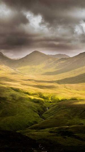 武汉seo推广工具截图5