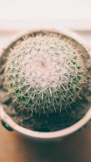 国外网站建设截图1