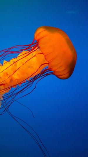 兰州正规seo优化工具截图4