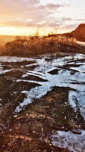 抖音seo软件工具截图3