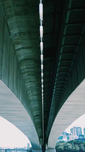 排名精灵seo截图4