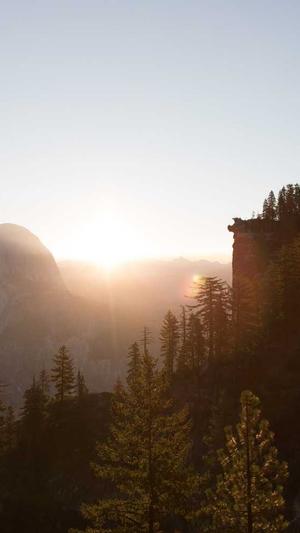 泰安seo工具截图2