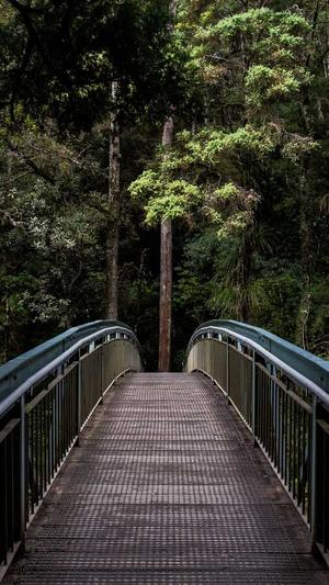 泛次元聊天群章节目录截图2