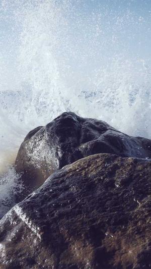 购买蜘蛛池一般多少钱截图4