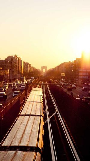 西藏神马蜘蛛池租用截图2