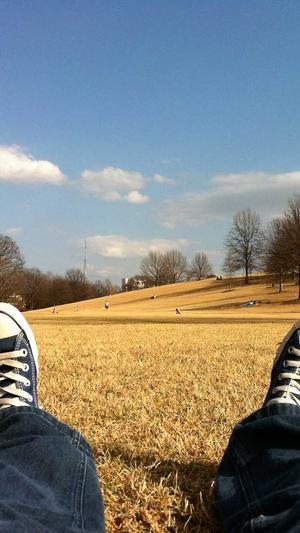 seo网站关键词优化工具截图4