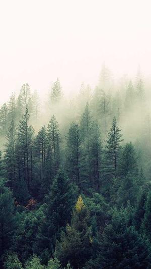 洛阳seo优化截图1