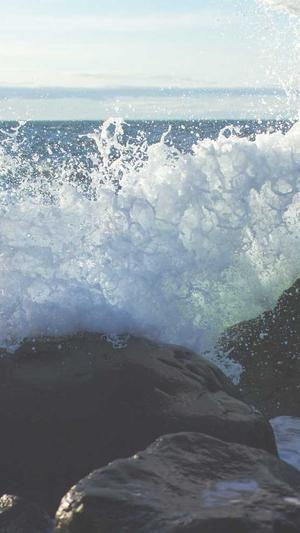 聚合泛目录v5站群作用截图2